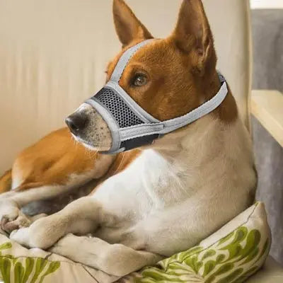 Muselière pour chien | Sécuri-Confort™