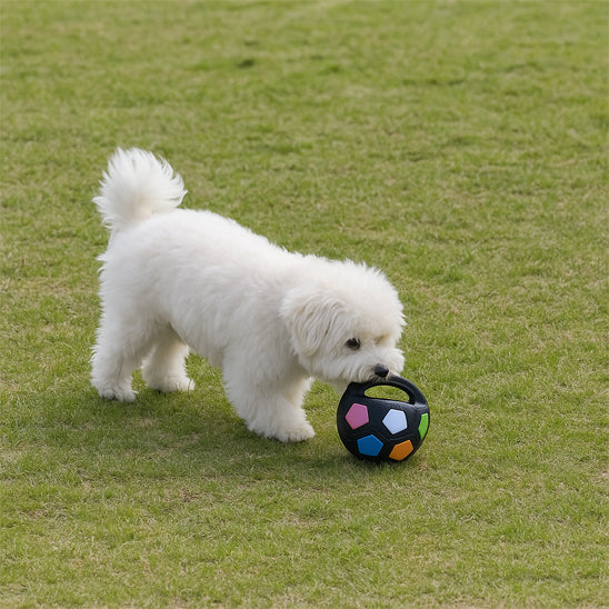 Jouet d'occupation chien pour petit chien