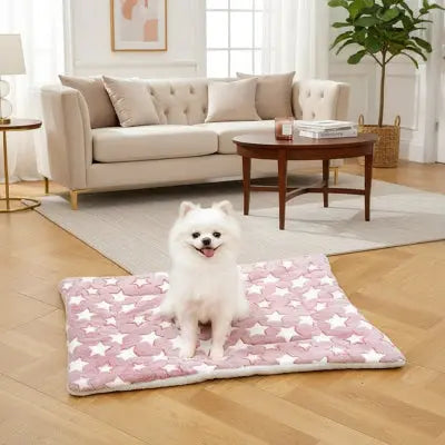 Tapis pur chien par terre dans le salon