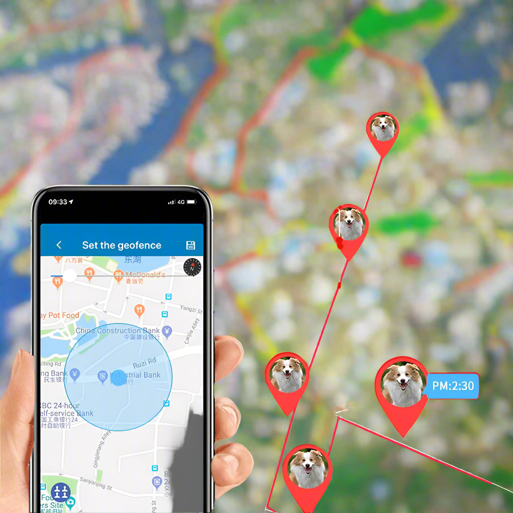 Téléphone pour tracer Collier anti fugue chien gps
