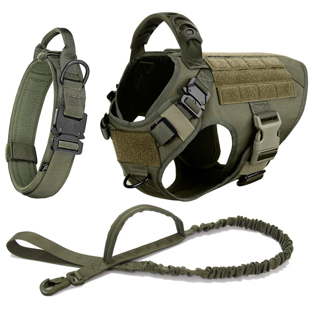 Harnais Anti Traction Chien - Tractionsafe™