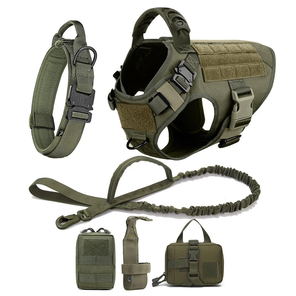 Harnais Anti Traction Chien - Tractionsafe™