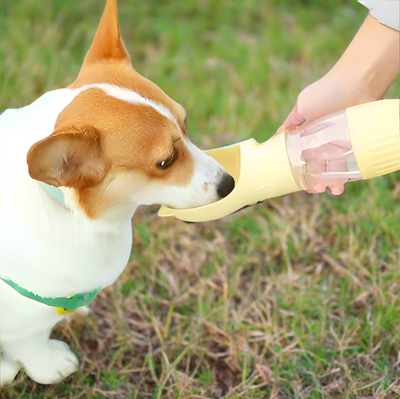 Gourde et gamelle pour chien