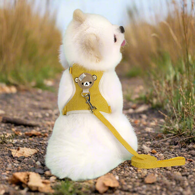 Harnais chien
