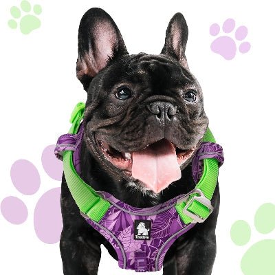 Harnais - PullFree™ - Camouflage Mauve - Amour de chien