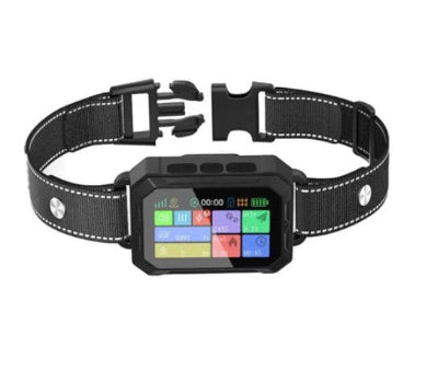 Collier anti fugue GPS | PetTracker™