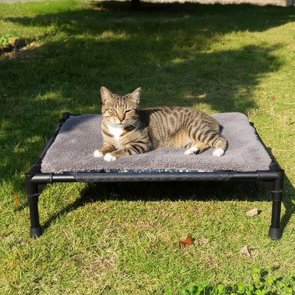 Chat se reposant sur transat surélevé en plein air – Royaume Animalier