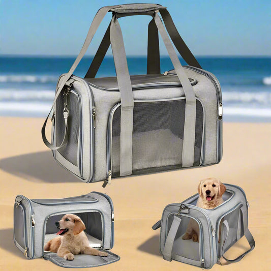 Chien sac de transport DoggyBag™ approuvé compagnies aériennes