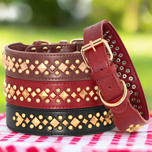 Collier chien NobleMuseau couleurs multiples