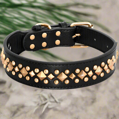 Collier chien NobleMuseau noir