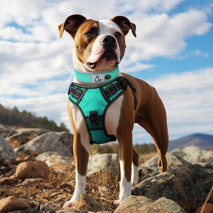 Collier chien PawComfort™ aqua