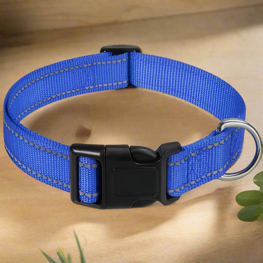 Collier chien lumineux GlowDog bleu