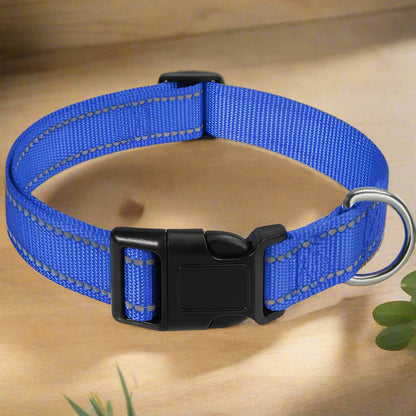 Collier chien lumineux GlowDog bleu
