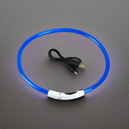 Collier lumineux pour chien | GlowPaws™ bleu