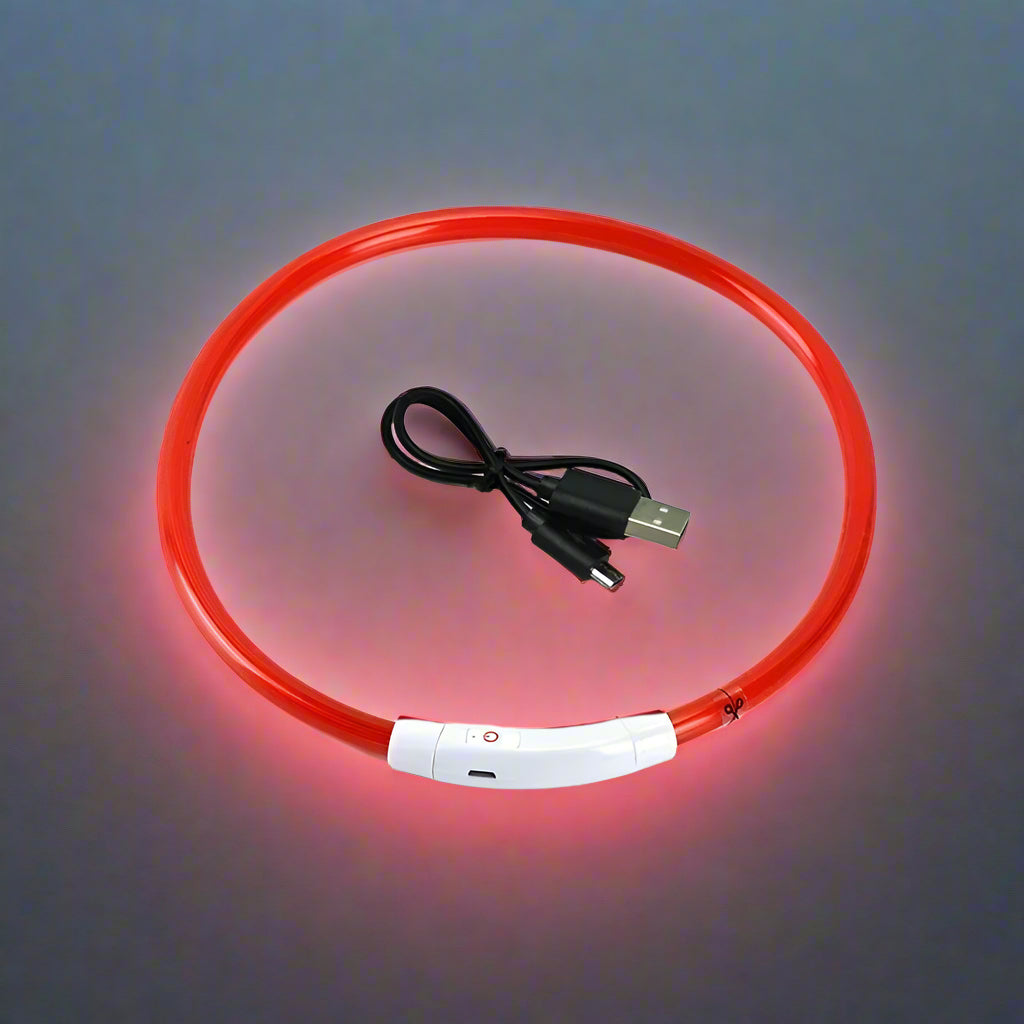 Collier lumineux pour chien rouge