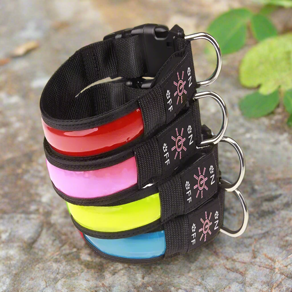 Collier lumineux pour chien LumiDog ™ vert couleurs multiples