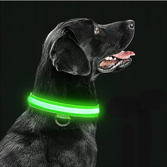 Collier lumineux pour chien LumiDog ™ vert