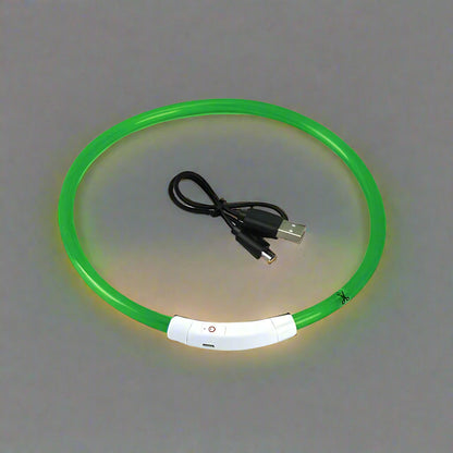 Collier lumineux pour chien vert
