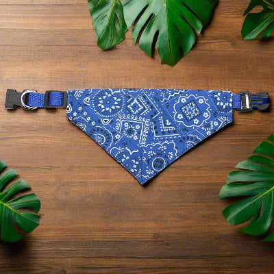Collier pour chien BandanaPaws™ bleu