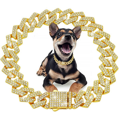 Collier chien  ROYAL CANIN ECLAT 15mm