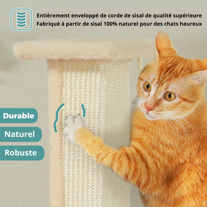 Griffoir à chat robuste et duable