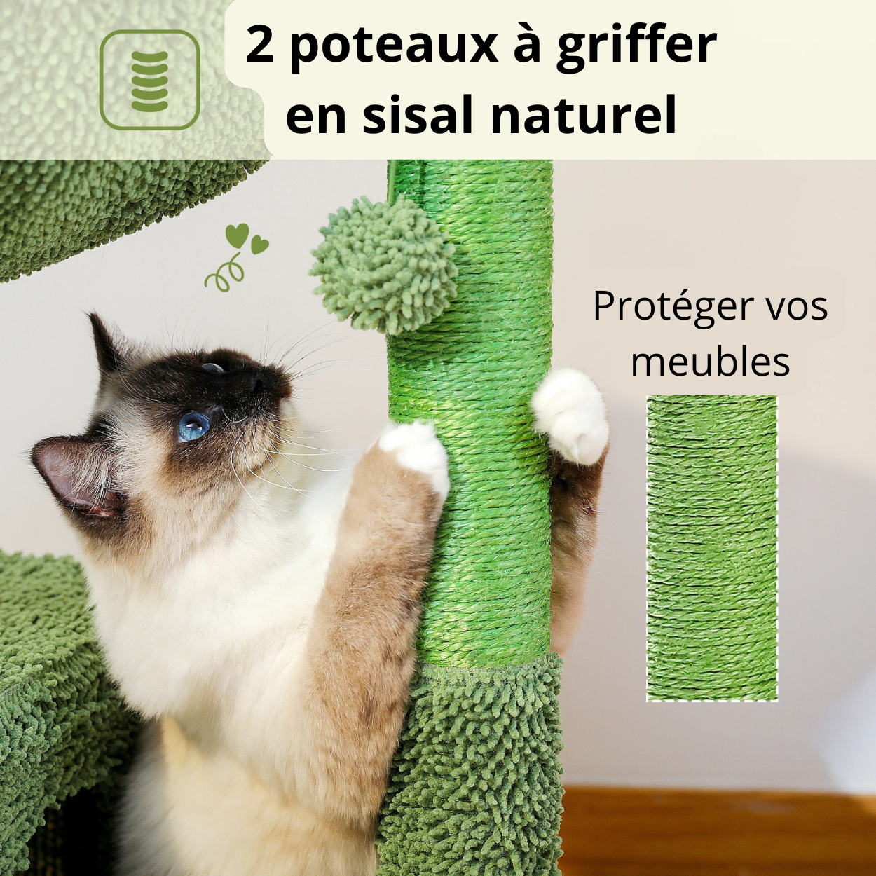 Griffoir cactus l'alié pour protéger vos meubles