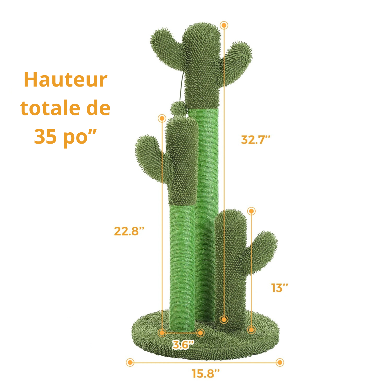 Griffoir cactus vert hauteur 35 pouces