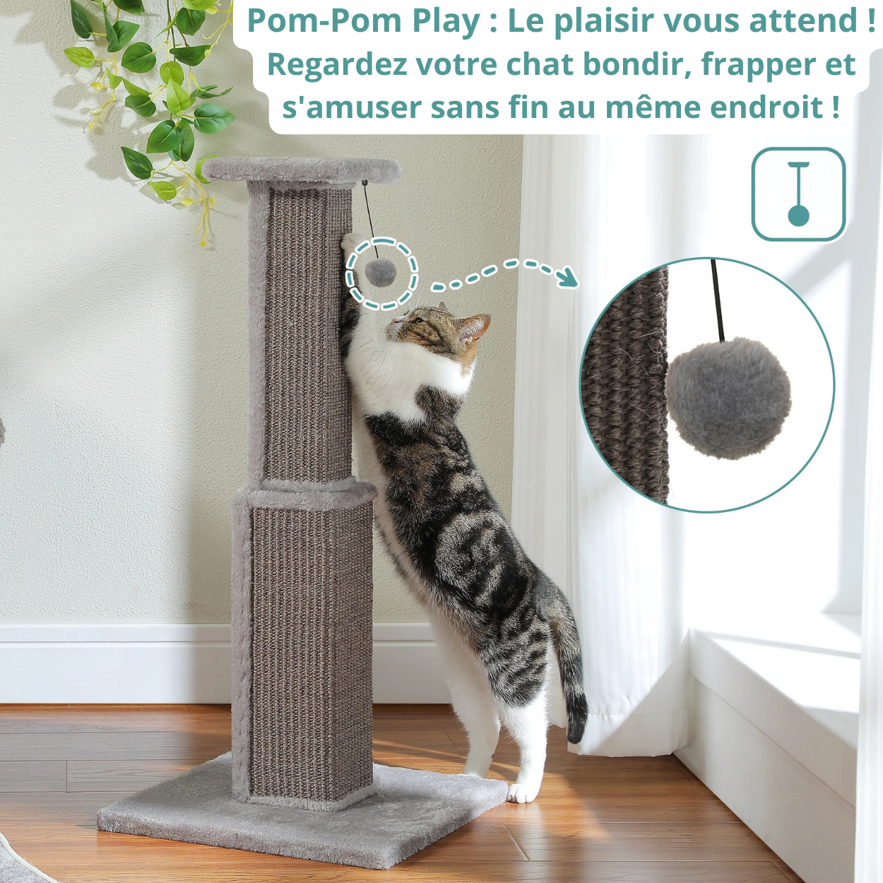 Griffoir à chat avec boule pendante