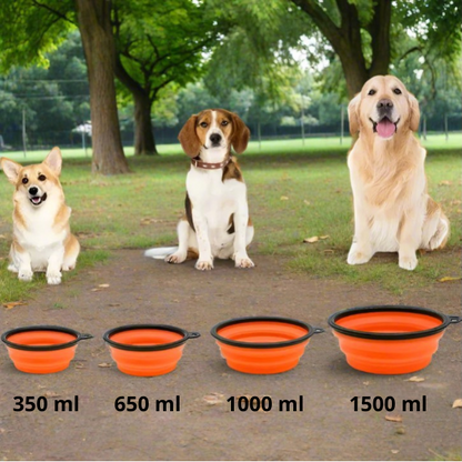 Gamelle pour chien Silicone multiples formats