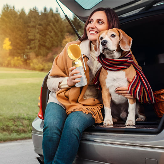 Gourde pour chien Portable femme avec chien assise arriere voiture