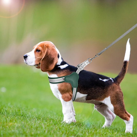 Harnais pour chien StrapPup chien grandes oreilles