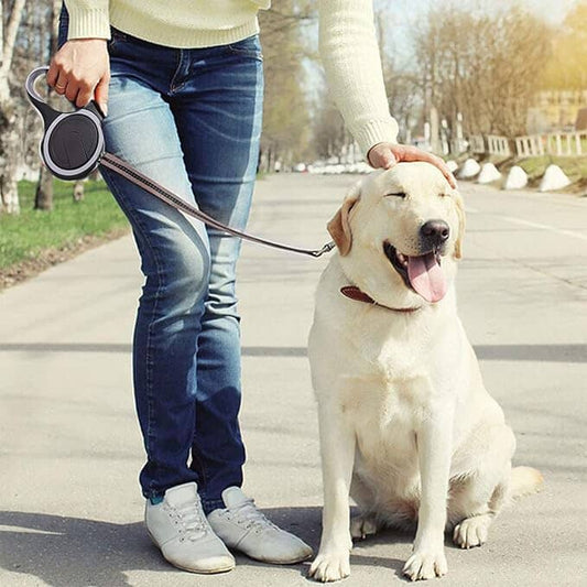 Laisse de chien MaxLeash labrador blond