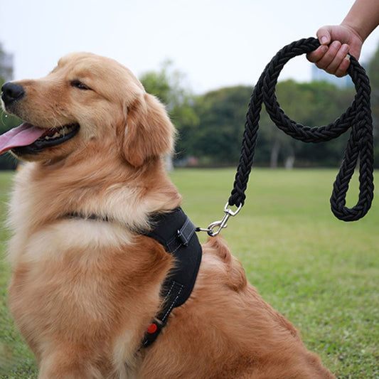 Laisse pour Chien Strong chien en laisse