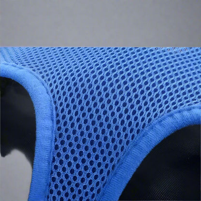 Sac à Dos Chat - PetExplorer™ - Bleu lecoledeschats