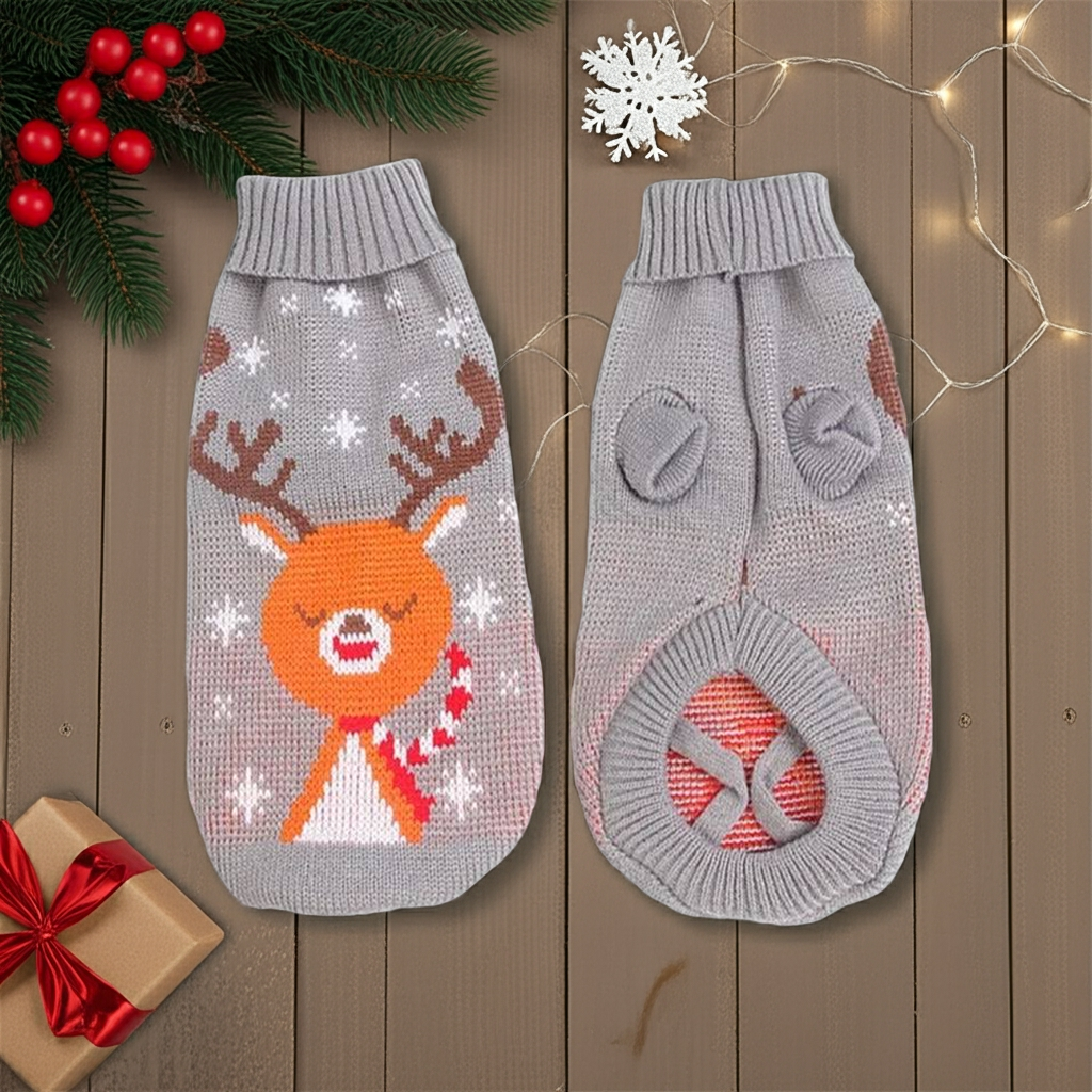 PULL DE NOEL POUR CHIEN | RUDOLF