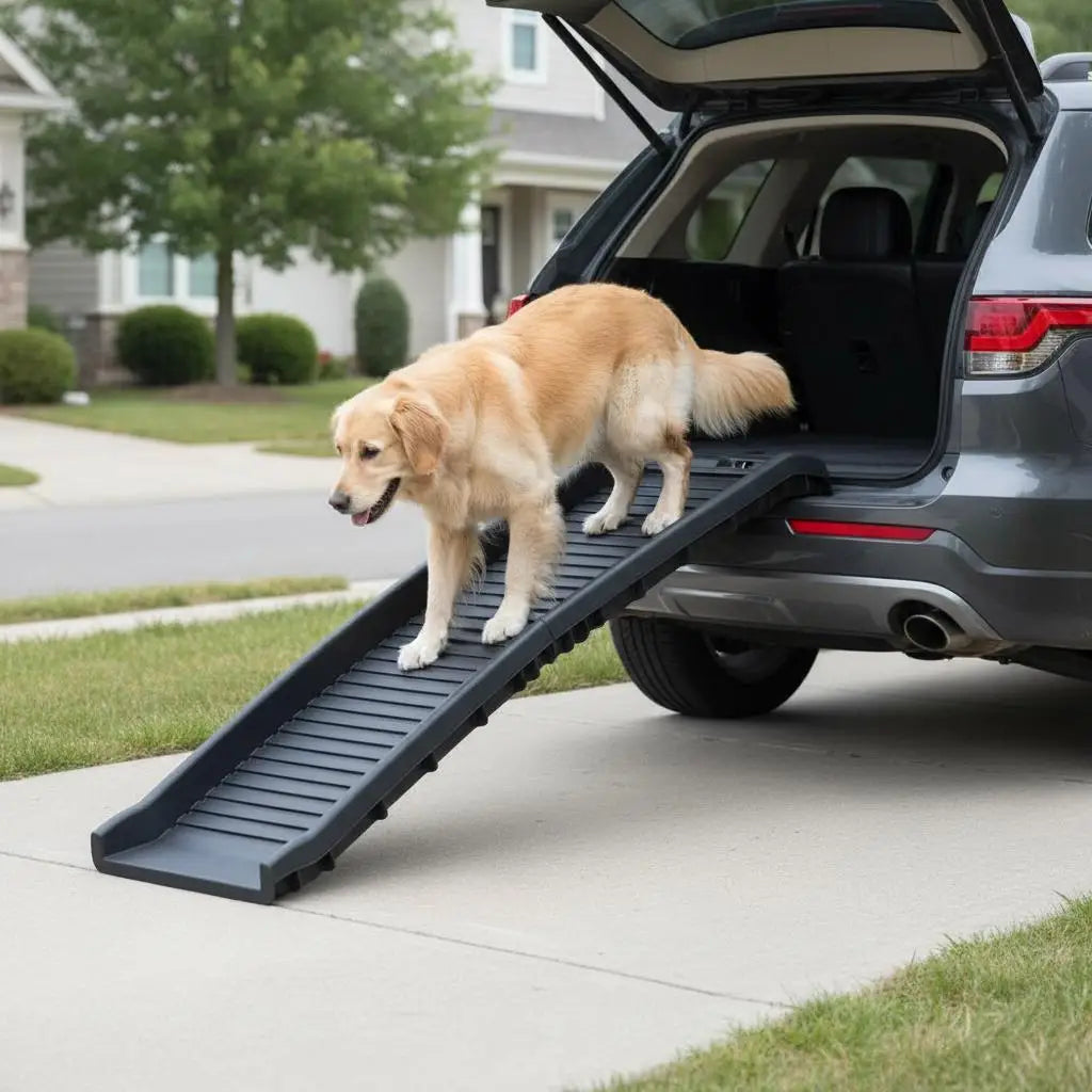 Rampe voiture pour chien antidérapante aidant un labrador à descendre d’un véhicule⠋