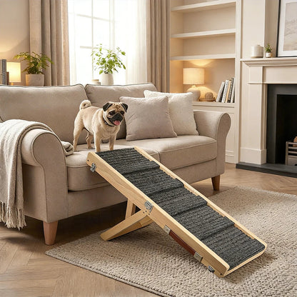 Rampe voiture chien installée près d’un canapé pour favoriser l’autonomie du chien