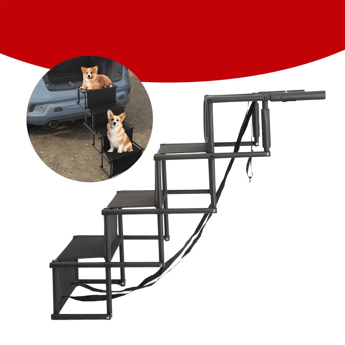 Rampe escalier pour chien installée à l'arrière d'un véhicule