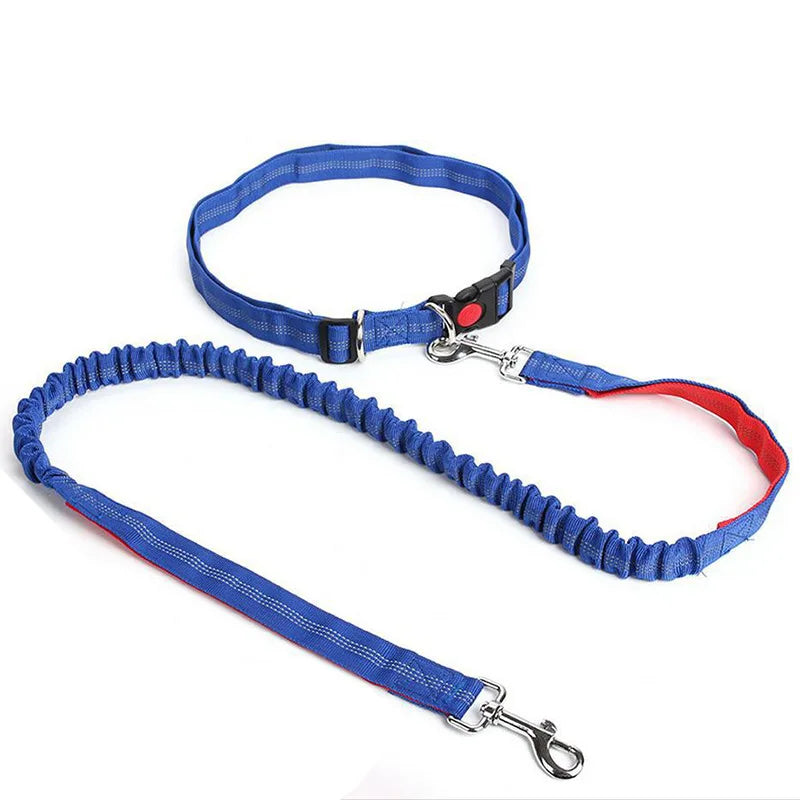Laisse élastique pour chien bleue ajustable avec système anti-tractionr