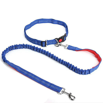 Laisse élastique pour chien bleue ajustable avec système anti-tractionr