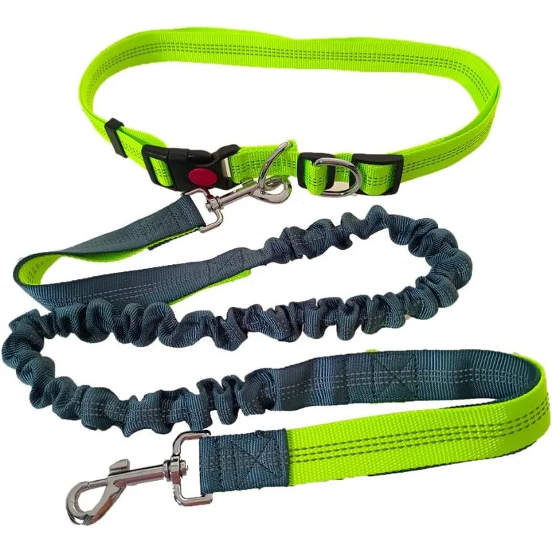 Laisse élastique chien extensible verte 