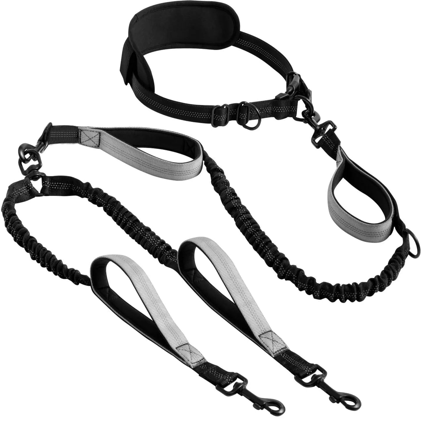 Laisse élastique pour chien kit complet ceinture mains libres et 2 laisses bungee noires réfléchissantes