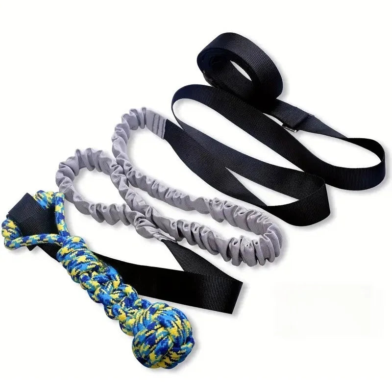 Dog Ball Toy with Rope Interactive Leaking Balls For Large And Small Dogs RopesChew Ball Chew Toys Puppy Training PetAccessories Royaume Animalier