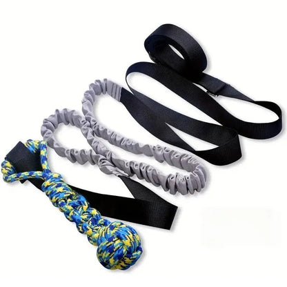 Dog Ball Toy with Rope Interactive Leaking Balls For Large And Small Dogs RopesChew Ball Chew Toys Puppy Training PetAccessories Royaume Animalier