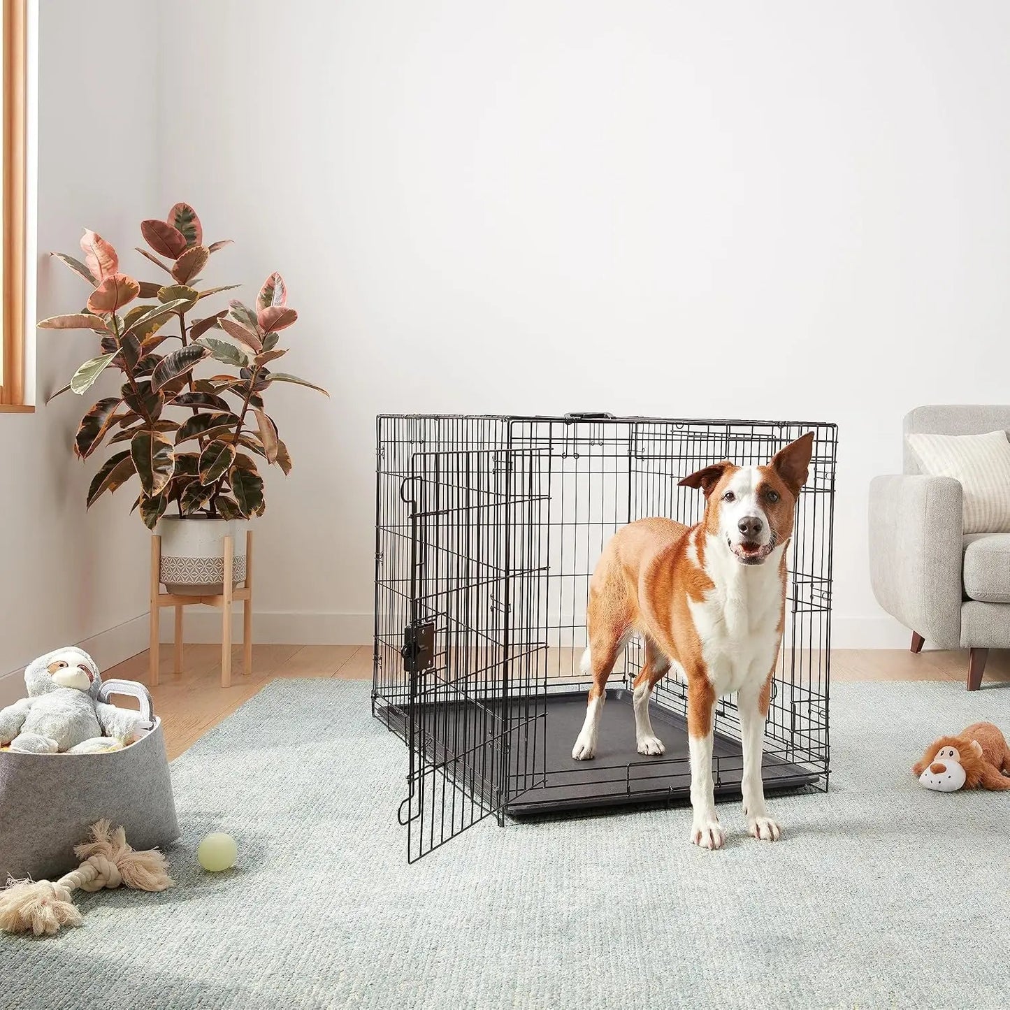 Cage de transport pour chien modulable avec grand chien en situation réelle dans un salon