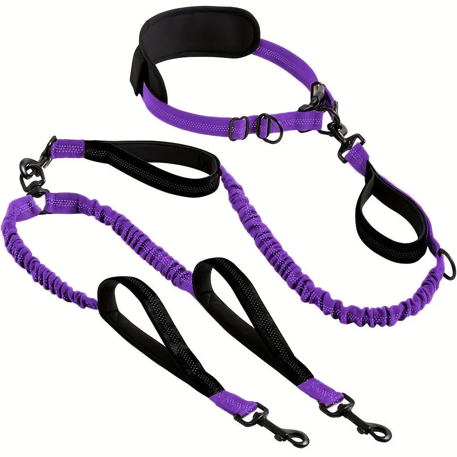Laisse élastique pour chien kit complet ceinture mains libres et 2 laisses bungee violettes