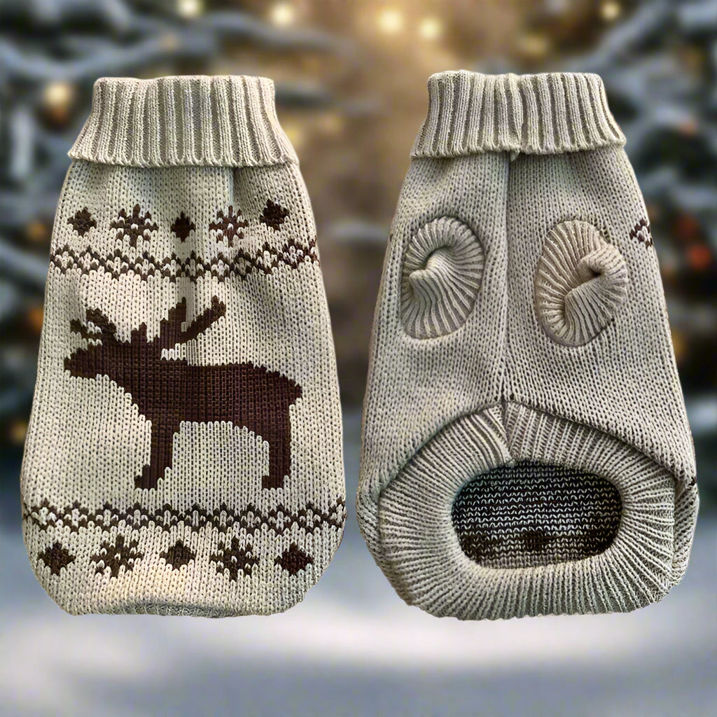 PULL DE NOEL POUR CHIEN | RUDOLF