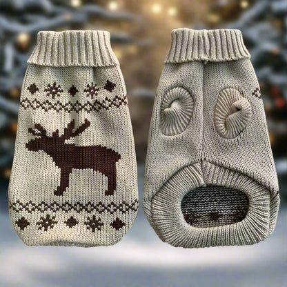 PULL DE NOEL POUR CHIEN | RUDOLF