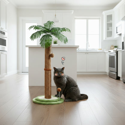 Chat intrigué par la balle rebond de son Griffoir à chat 