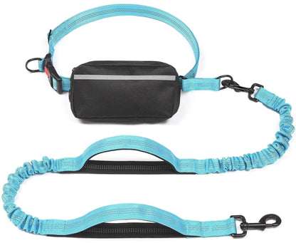 Free Dog Leash with Zipper Pouch, Dual Padded Handles Running Leash for Medium and Large Dog, Retractable Bungee Waist Dog Leash Royaume Animalier